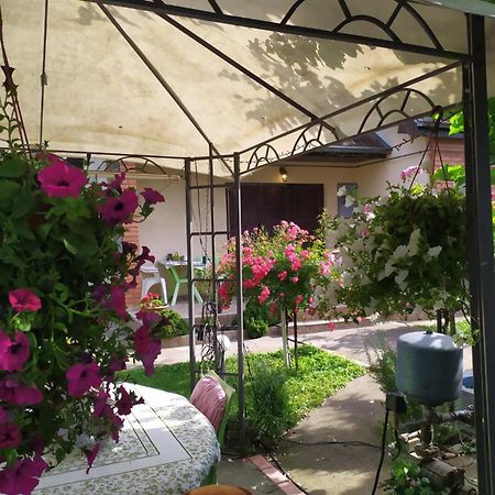 Apartment Ljupka Pančevo Eksteriør bilde